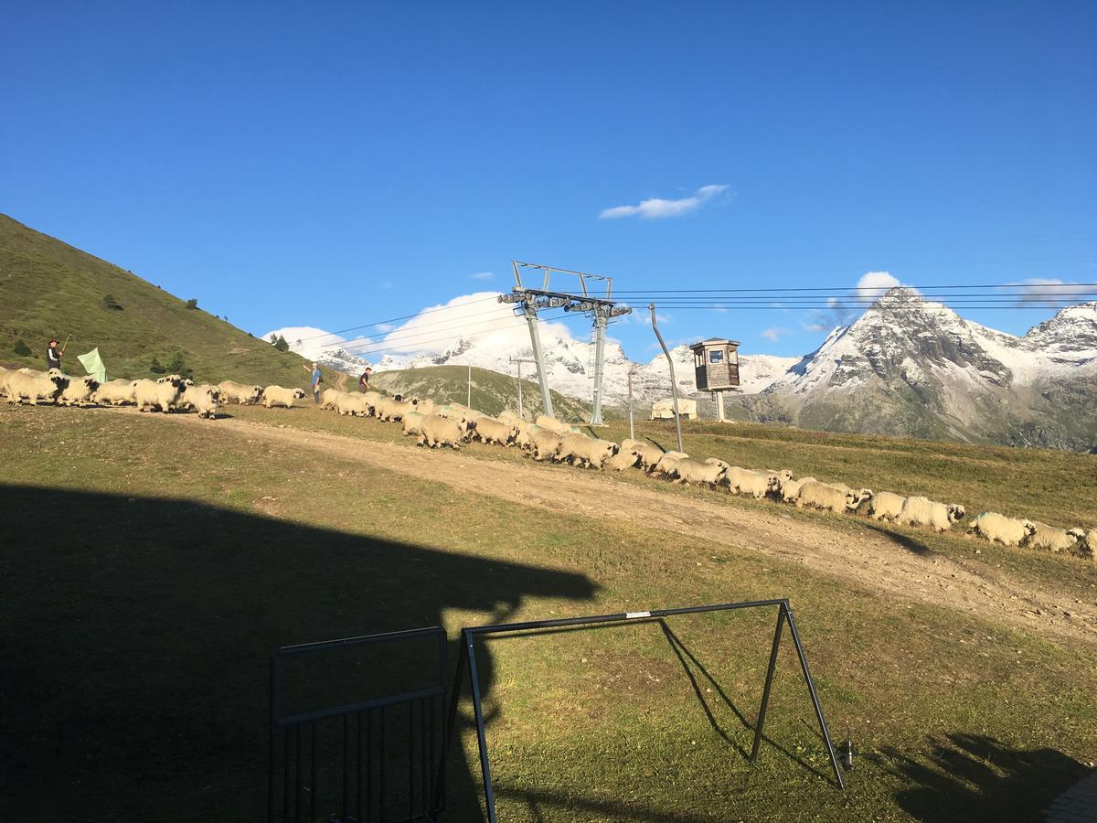 Hostel Restaurant Fleschboden Rosswald Zewnętrze zdjęcie